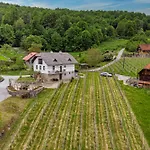 Vineyard Homestead Vrtin - Happy Dragatus