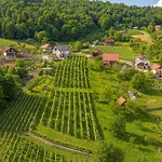 Vineyard Homestead Vrtin - Happy
