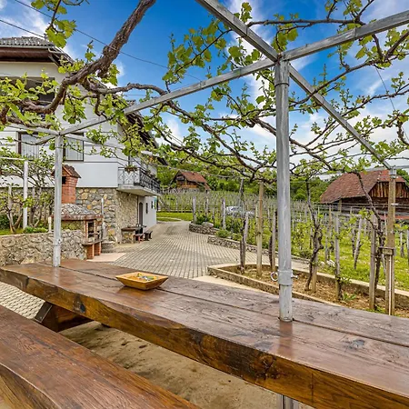 Vineyard Homestead Vrtin - Happy