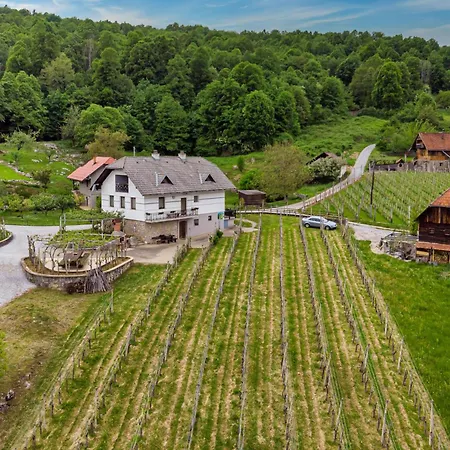Vrtin Vineyard Family Retreat - Happy Rentals Dragatus