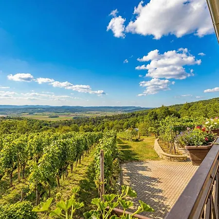 Holiday home Vineyard Homestead Vrtin - Happy Dragatus