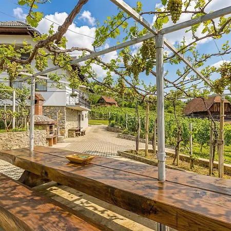 Vineyard Homestead Vrtin - Happy *