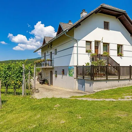 Vineyard Homestead Vrtin - Happy Dragatus