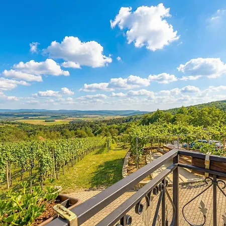 Holiday home Vineyard Homestead Vrtin - Happy *
