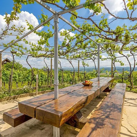 Vineyard Homestead Vrtin - Happy
