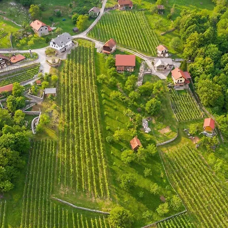 Vineyard Homestead Vrtin - Happy * Dragatus