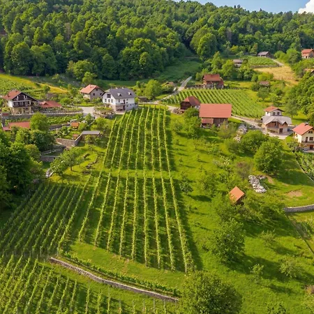 Vrtin Vineyard Family Retreat - Happy Rentals
