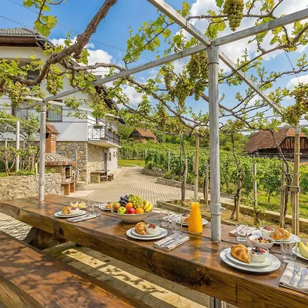Vineyard Homestead Vrtin - Happy