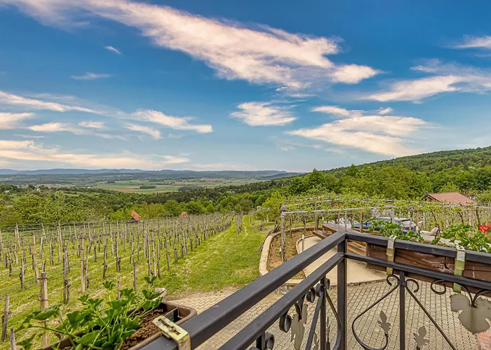 Vineyard Homestead Vrtin - Happy Vakantiehuis Dragatuš