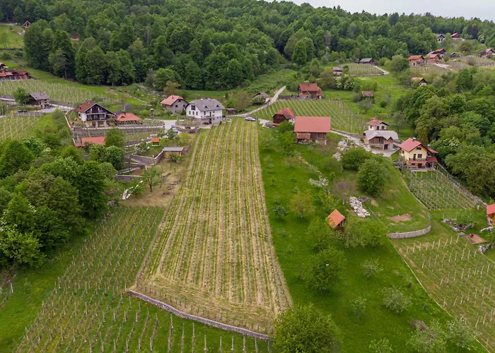 Vineyard Homestead Vrtin - Happy * Dragatuš