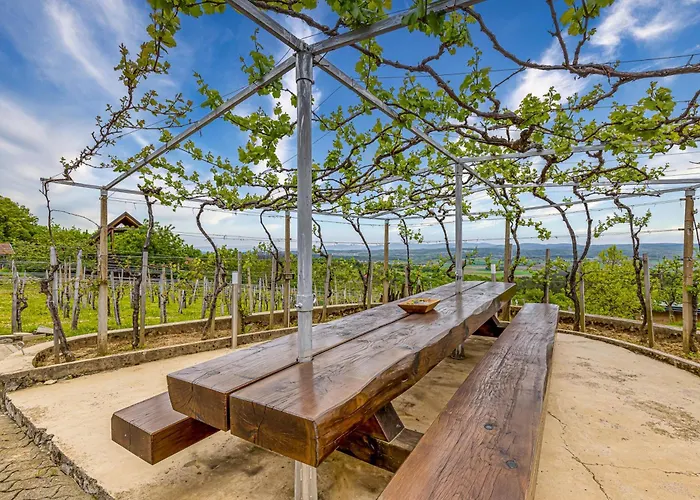 Vineyard Homestead Vrtin - Happy