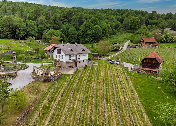 Vineyard Homestead Vrtin - Happy Dragatus