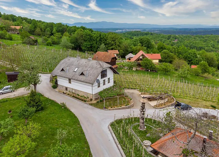 Vineyard Homestead Vrtin - Happy