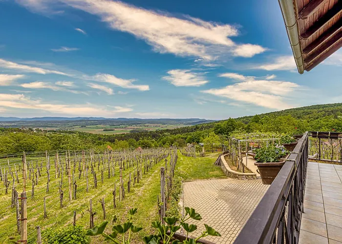 Vineyard Homestead Vrtin - Happy Nyaraló