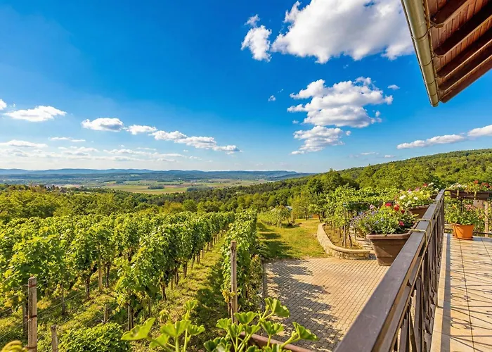 Holiday home Vineyard Homestead Vrtin - Happy Dragatus