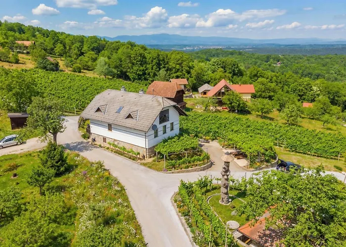 Vineyard Homestead Vrtin - Happy Holiday home *