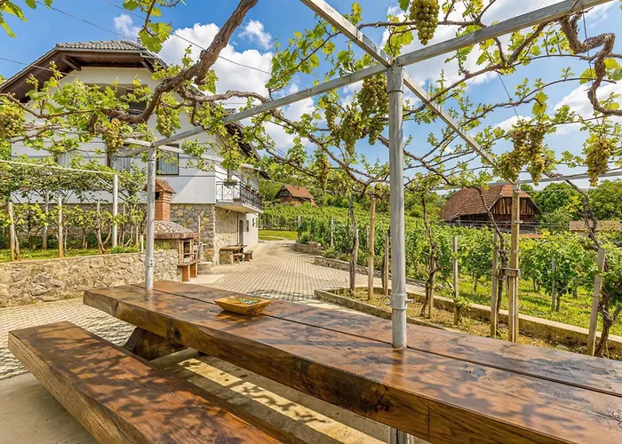 Vineyard Homestead Vrtin - Happy *